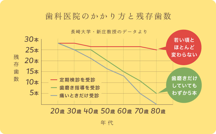 歯科医院のかかり方と残存歯数